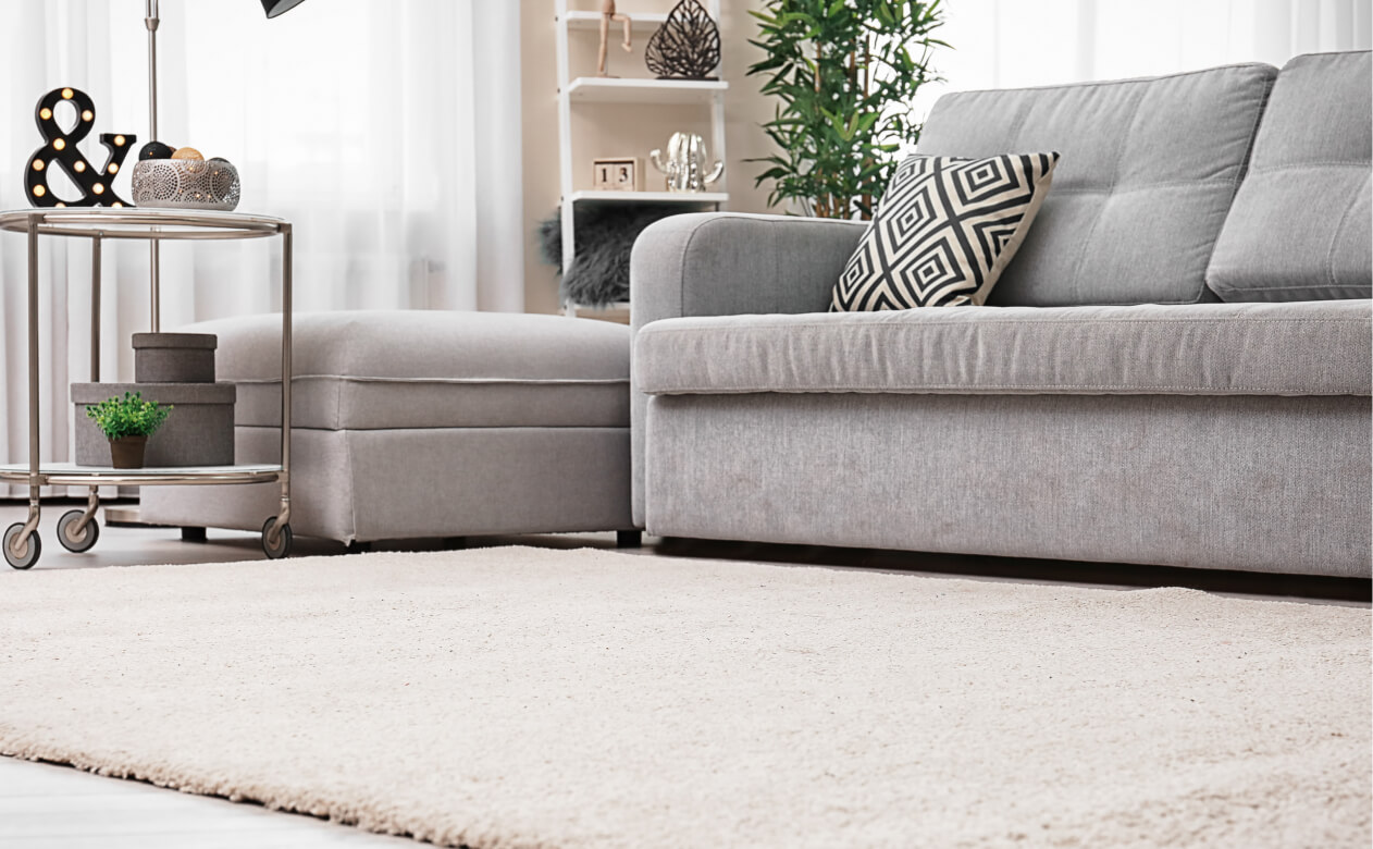 Living room with soft grey and cream furniture and area rug.