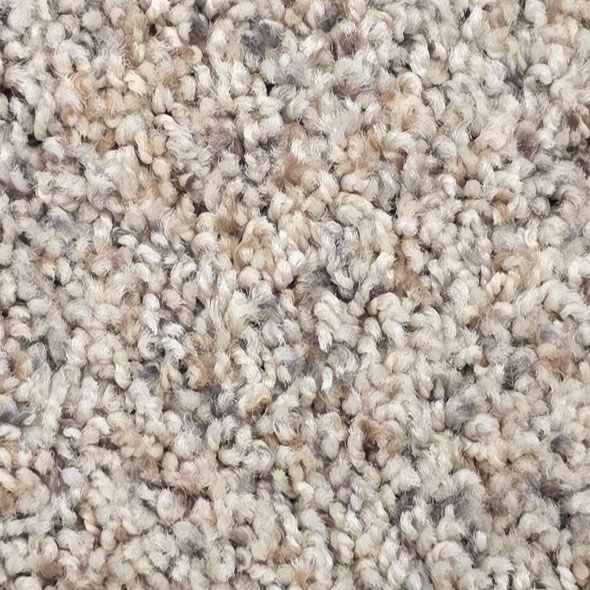 Ocean Carpet Room Scene