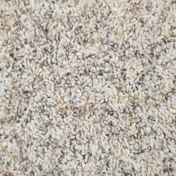 Parchment Carpet Carpet Room Scene