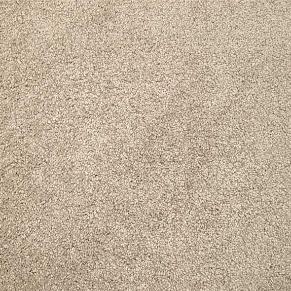 Grass Roots Carpet Swatch
