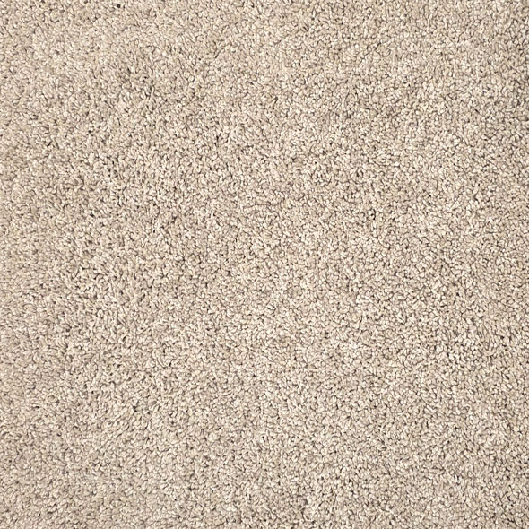 Coffee Carpet Swatch