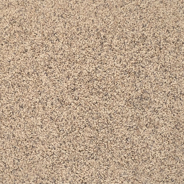 Coffee Carpet Swatch