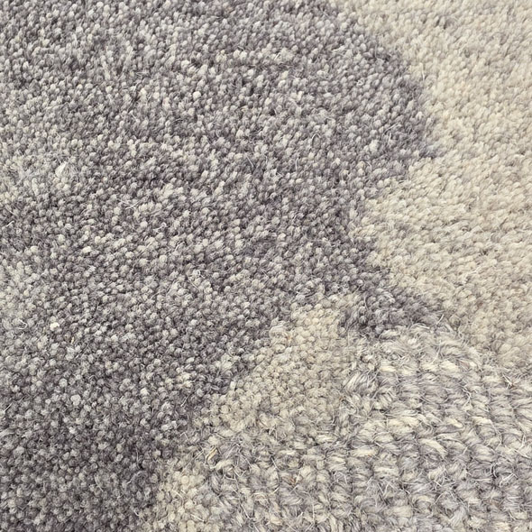 Dimensional Carpet Room Scene