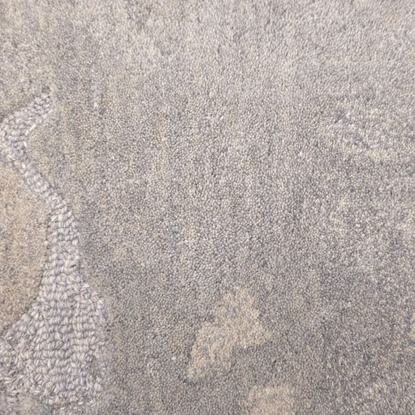 Focal Point Carpet Swatch