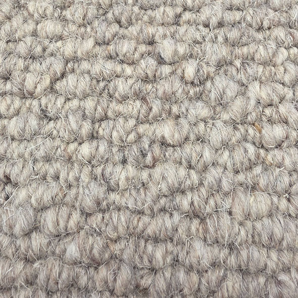 Antique Carpet Room Scene