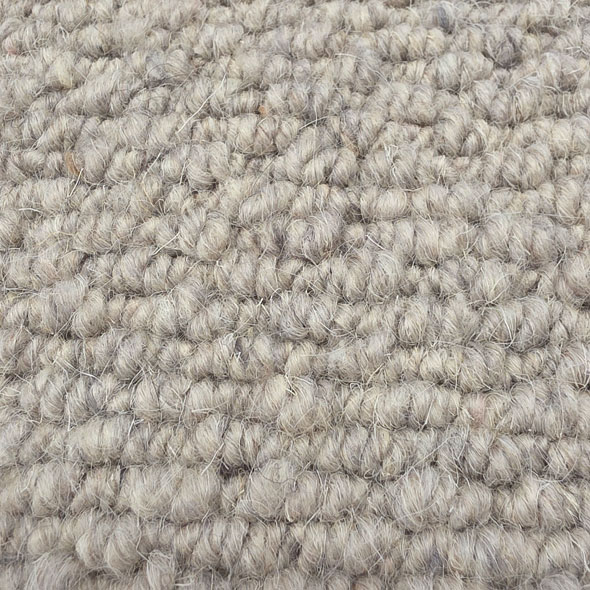Stucco Carpet Room Scene