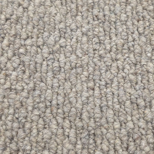 Serene Carpet Room Scene