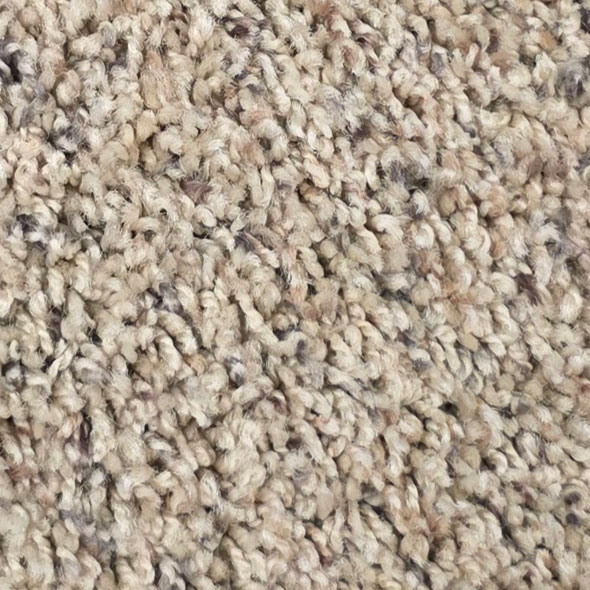 Denim Carpet Room Scene